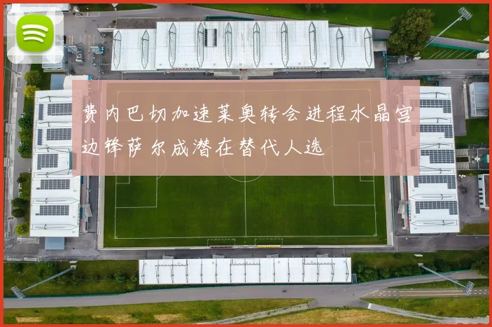 费内巴切加速莱奥转会进程水晶宫边锋萨尔成潜在替代人选